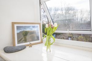 Photo 25- click for photo gallery